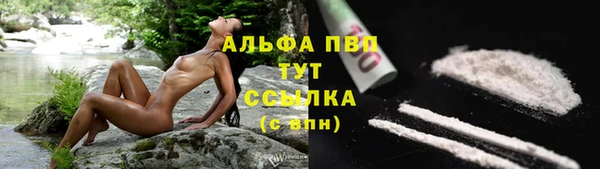 мяу мяу кристалл Няндома