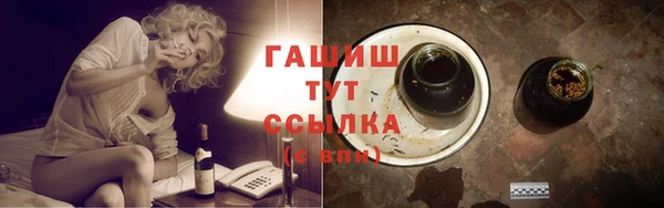 СК Алексин