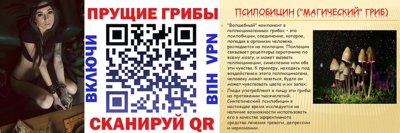 Галлюциногенные грибы Psilocybine cubensis  Похвистнево 